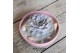 Arrangementen succulenten ROOTLESS Echeveria lilacina Ibiza, pink bowl 