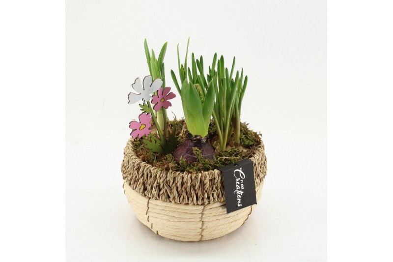 Arrangementen bol/knolgewas BLCR-2623 Bulbs creations 3 pp 