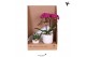 Arrangementen kamerplanten Kolibri Gift Set small Floral Blushpp 16 bl 