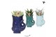 Succulenten mix Kolibri Greens Succulenten mix in Fish pot blue mix1 p 