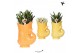 Succulenten mix Kolibri Greens Succulenten mix in Fish pot yellow mix1 