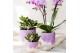 Keramische pot Kolibri Home Bloom pot lila mix 