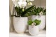 Keramische pot Kolibri Home Glazed pot white 