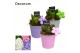 Arrangementen hyacinthus Hyacint Colourful Bucket HL16583 [LOVELY COLO 