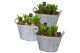 Arrangementen hyacinthus Hyacint Flower Basket HL12633 [PURE] 6 pp 150 