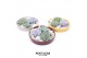Arrangementen succulenten ROOTLESS Echeveria garden, Squirrel bowl3 pp 