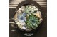 Arrangementen succulenten ROOTLESS Echeveria garden, Squirrel bowl3 pp 