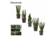Sansevieria cylindrica Mix 12cm Decorum 