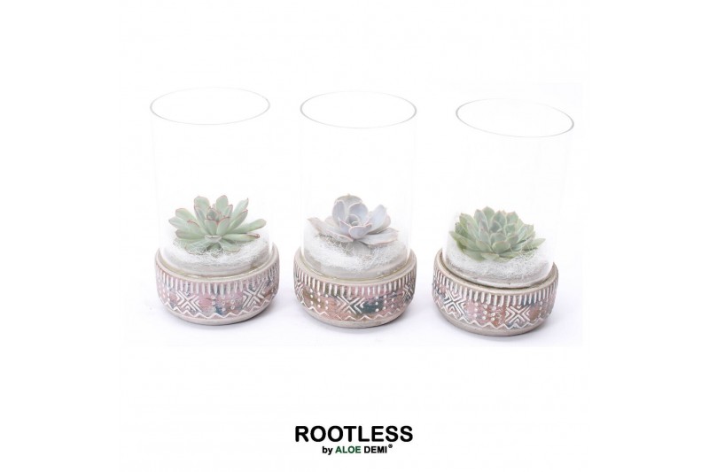Arrangementen succulenten ROOTLESS Echeveria mix, Deer pot and glass w 