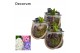 Arrangementen hyacinthus Hyacint Glas met Touw HL13800 [PURE] 1 pp 30  