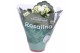 Kalanchoe rosalina don dione wit 