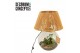 Arrangementen kamerplanten Terrarium Moon light (Decorum concepts) 4 p 