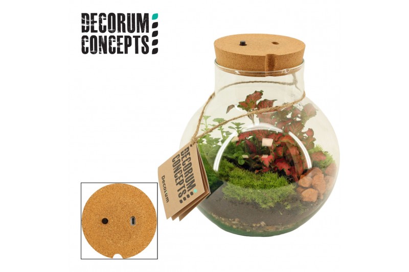 Arrangementen kamerplanten Terrarium Venus met oplaadbare led (Decorum 