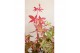 Acer palmatum beni-maiko Acer palm. Beni Maiko C14 halfstam80 cm cm st 