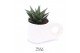 Succulenten TRULY succulent, Penguin pot White1 pp 