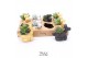 Succulenten TRULY Succulent, Balloon dog1 pp 