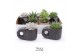 Succulenten TRULY succulent, Penguin pot Black1 pp 