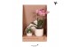 Phalaenopsis Kolibri Gift Set small Travertine2 pp 16 bl. 2 tak/plnt 