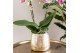 Keramische pot Kolibri Home Luxury pot gold 