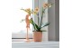 Keramische pot Kolibri Home Simplicity pot peach 