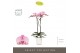 Phalaenopsis roze Optistar Madonna 2 spike in Molise White Aquo15 bl.  