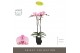 Phalaenopsis roze Optistar Madonna 2 spike in Emilia Brown Aquo 15 bl. 