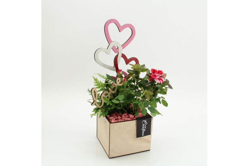 Arrangementen rosa RMCR-2609 Romantic Essentials 2 pp 