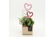 Arrangementen kalanchoe RMCR-2624RZ Romantic Essentials 2 pp 