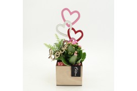 Arrangementen kalanchoe RMCR-2624RZ Romantic Essentials 2 pp
