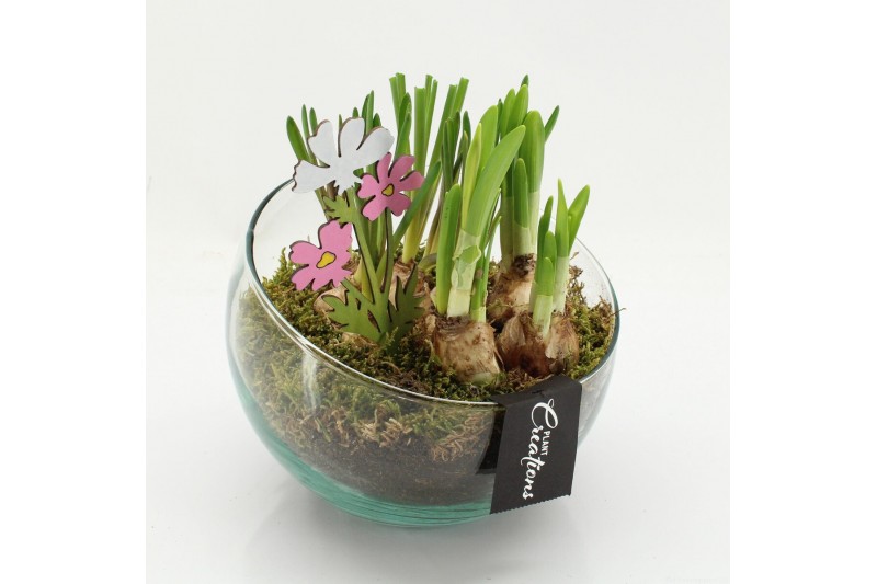 Arrangementen bol/knolgewas BLCR-2636 Bulbs creations 2 pp 