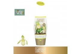 Cypripedium Garden Orchid Cypripedium 6+ White6 tak/plnt 1000 gram