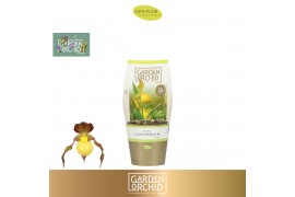 Cypripedium Garden Orchid Cypripedium 6+ Yellow6 tak/plnt 1000 gram