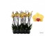 Phalaenopsis goldion Phalaenopsis Goldion - 2 tak 80cm 16 bl. 2 tak/pl 