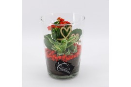 Arrangementen kalanchoe RMCR-2621R Romantic Essentials 2 pp