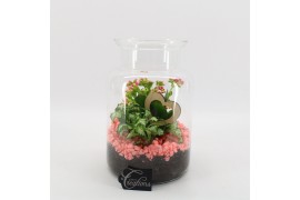 Arrangementen kamerplanten FDRM-2606RZ Romantic Fundamentals 2 pp