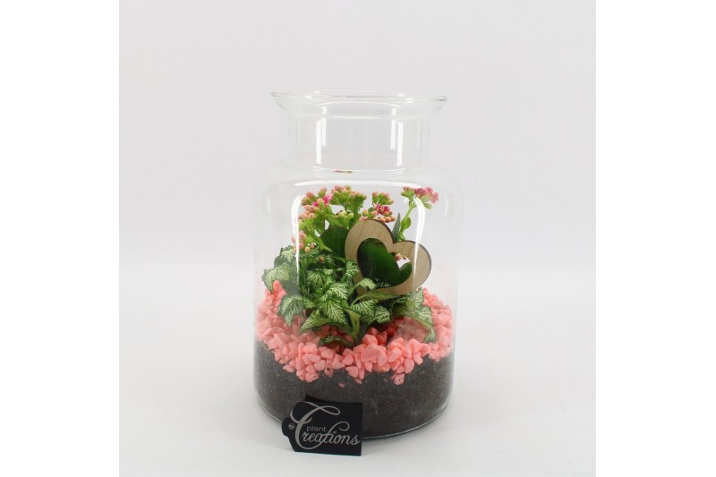 Arrangementen kamerplanten FDRM-2606RZ Romantic Fundamentals 2 pp 