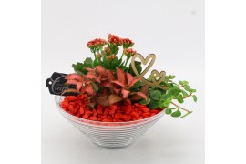 Arrangementen kamerplanten FDRM-2601R Romantic Fundamentals 3 pp