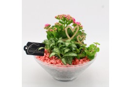 Arrangementen kamerplanten FDRM-2601RZ Romantic Fundamentals 3 pp