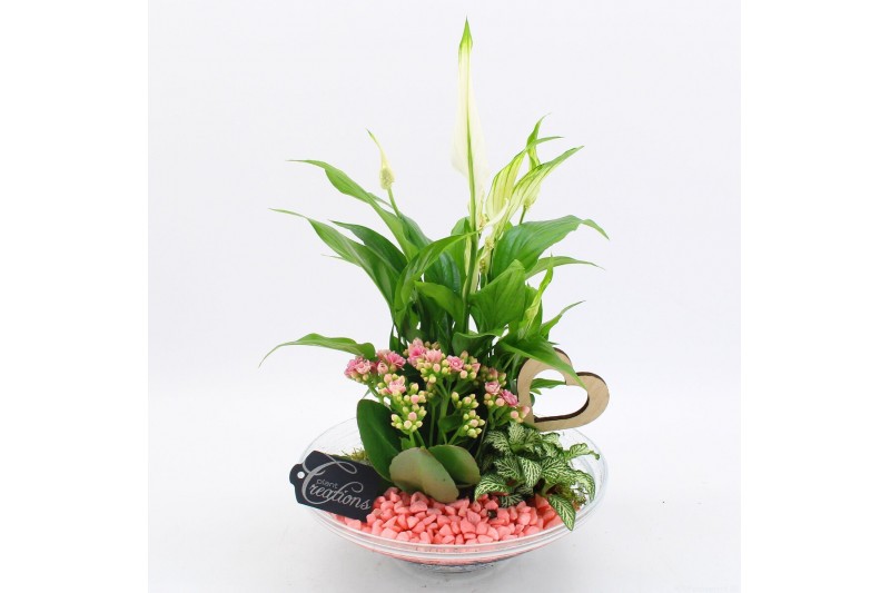 Arrangementen kamerplanten FDRM-2602RZ Romantic Fundamentals 3 pp 