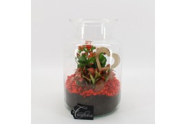 Arrangementen kamerplanten FDRM-2606R Romantic Fundamentals 2 pp