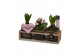 Arrangementen kamerplanten Calandiva & Hyacint TriPlant HL25074PP [TEN 