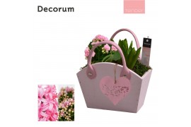 Arrangementen kamerplanten Calandiva & Hyacint Wooden Bag HL25874PP [T