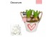 Arrangementen hyacinthus Hyacint Bucket Maxi HL10644WP [TENDER] 3 pp 7 