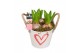 Arrangementen hyacinthus Hyacint Bucket Maxi HL10644WP [TENDER] 3 pp 7 