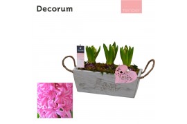 Arrangementen hyacinthus Hyacint Love & Timber HL15714 [TENDER] 3 pp 9