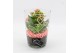 Arrangementen kalanchoe RMCR-2621RZ Romantic Essentials 2 pp 