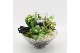 Arrangementen kamerplanten FDRM-2603W Romantic Fundamentals 3 pp