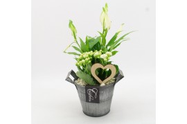 Arrangementen kamerplanten FDRM-2613W Romantic Fundamentals 2 pp