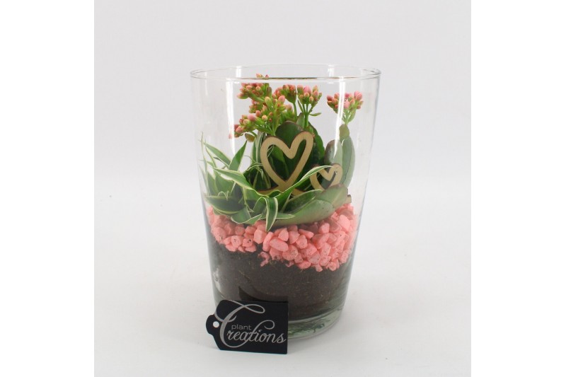 Arrangementen kamerplanten FDRM-2604RZ Romantic Fundamentals 2 pp 