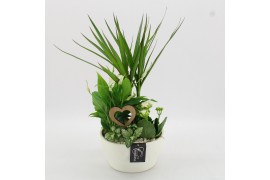 Arrangementen kamerplanten FDRM-2609W Romantic Fundamentals 4 pp